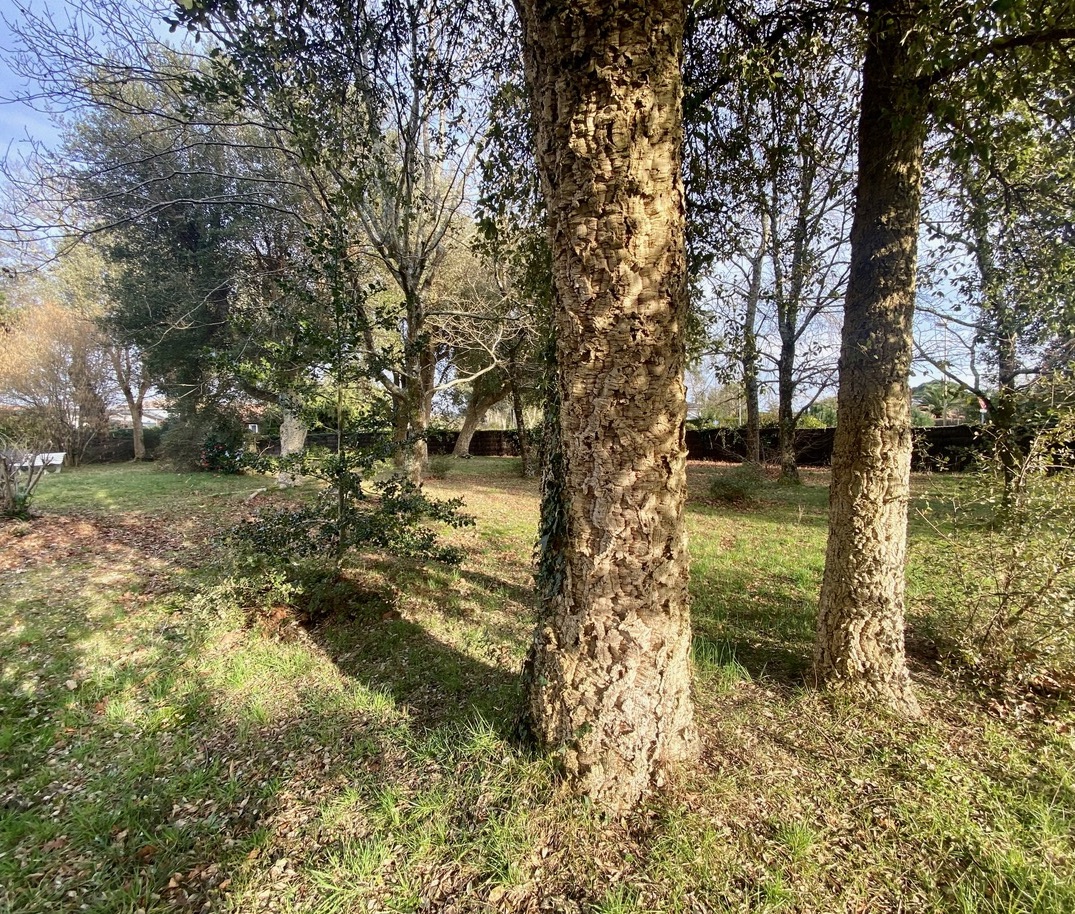 &ldquo;Airial Yachats&rdquo; For Sale at the heart of the Seignosse village, 5mn from the Hossegor &amp; Seignosse beaches and golf courses; authentic &ldquo;Airial Landais&rdquo; comprising of three separate buildings, set on 3000 sq. m. of beautiful wooded land with swimming pool&hellip; &pound; 1,050,000