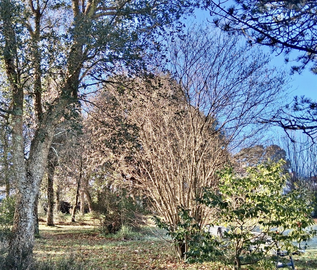 &ldquo;Airial Yachats&rdquo; For Sale at the heart of the Seignosse village, 5mn from the Hossegor &amp; Seignosse beaches and golf courses; authentic &ldquo;Airial Landais&rdquo; comprising of three separate buildings, set on 3000 sq. m. of beautiful wooded land with swimming pool&hellip; &pound; 1,050,000