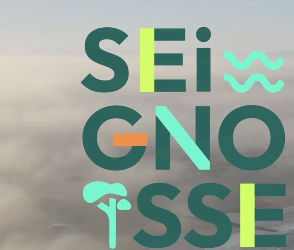 &nbsp;&ldquo;El Camino del Mar Beach House&rdquo; For Sale Seignosse Ocean, set in incredibly quiet forest surroundings, walking distance from beaches &amp; shops; 4 bed + / 2 bath villa full of character set on 1500 sqm of landscaped land, presented in excellent condition throughout&hellip; &pound;1,245,000