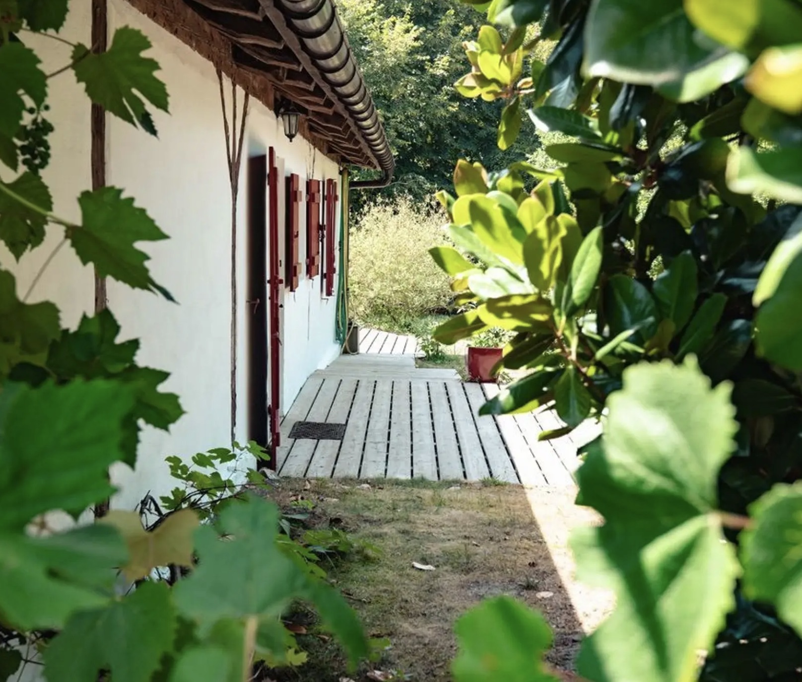 "Airial San Miguel" For Sale Sole Agent Saint Michel d'Escalus - 12km from beaches &amp; 15km from golf course, superb renovated farmhouse / character property on 8500 sq. m. of land comprising of original landaise farm house, sheepfold, artist workshop &amp; outbuildings; rare opportunity to live in a small village with preserved local traditions ; ideal for bed &amp; breakfast. Quiet &amp; peaceful ... &pound;821,000.
