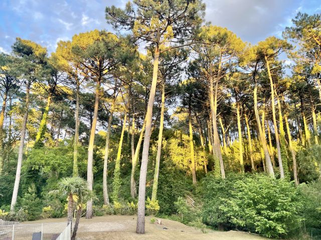 "Sand Harbor Beach Estate" For Sale Seignosse, Beaches by Foot / 5mn drive to Golf Course, in quiet &amp; peaceful surroundings, comfortable 6 bed / 6 bath villa on 1950 sq. m. of land with heated swimming pool amidst the pine forest... &pound;1,225,000