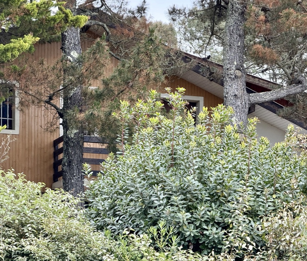 &ldquo;Wood Creek Beach House&rdquo; For Sale Seignosse Ocean by the beach, quiet location, 8 bed / 4 bath villa on 1000 sq. m. of wooded land with swimming pool; excellent rental potential if desired&hellip; &pound; 1,115,000.&nbsp;
