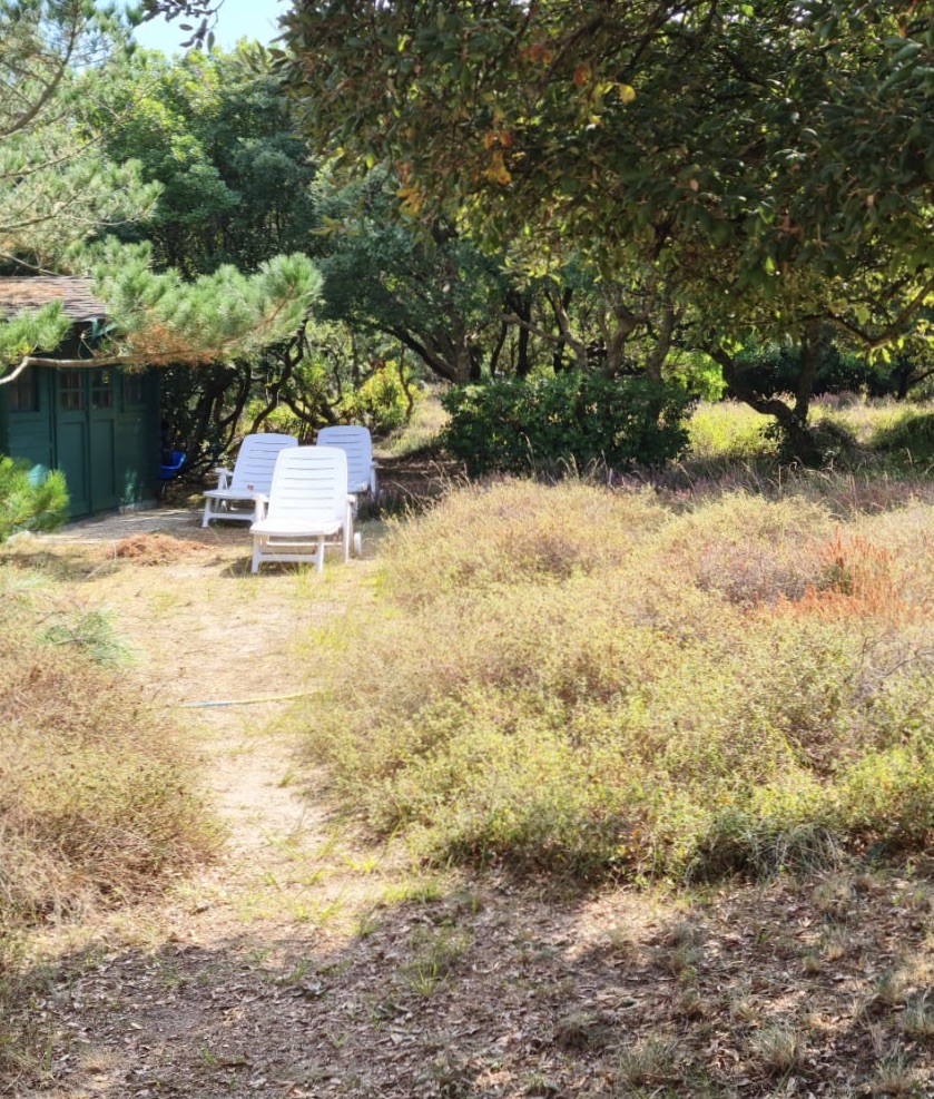 &nbsp;Just Sold,by our Team-&nbsp; "Gaviota Beach House", Exclusive Sales Mandate Hossegor Between Lake &amp; Ocean, comfortable 4/5 bed family home on 1650 sq. m. of wooded land. Quiet architect-designed retreat, original &amp; intimist.