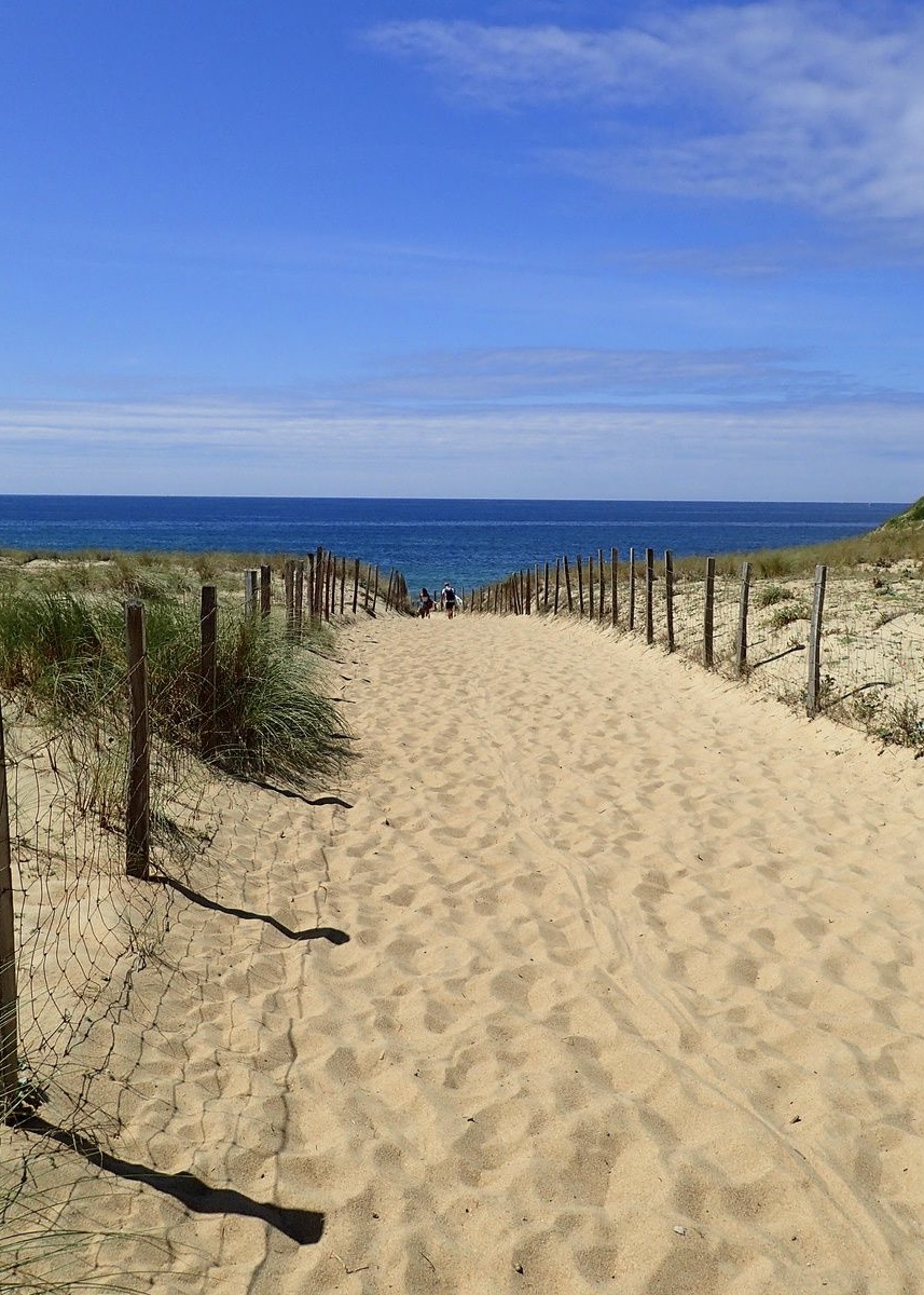 SOLD BY OUR TEAM - "Agoura Hills Estate"Exclusive Sales Mandate Capbreton 300 meters from the beach, under the pine trees &amp; shielded from the wind, &nbsp;beautiful plot of land extending to 1100 sq. m., all access to mains, quiet and residential surroundings.