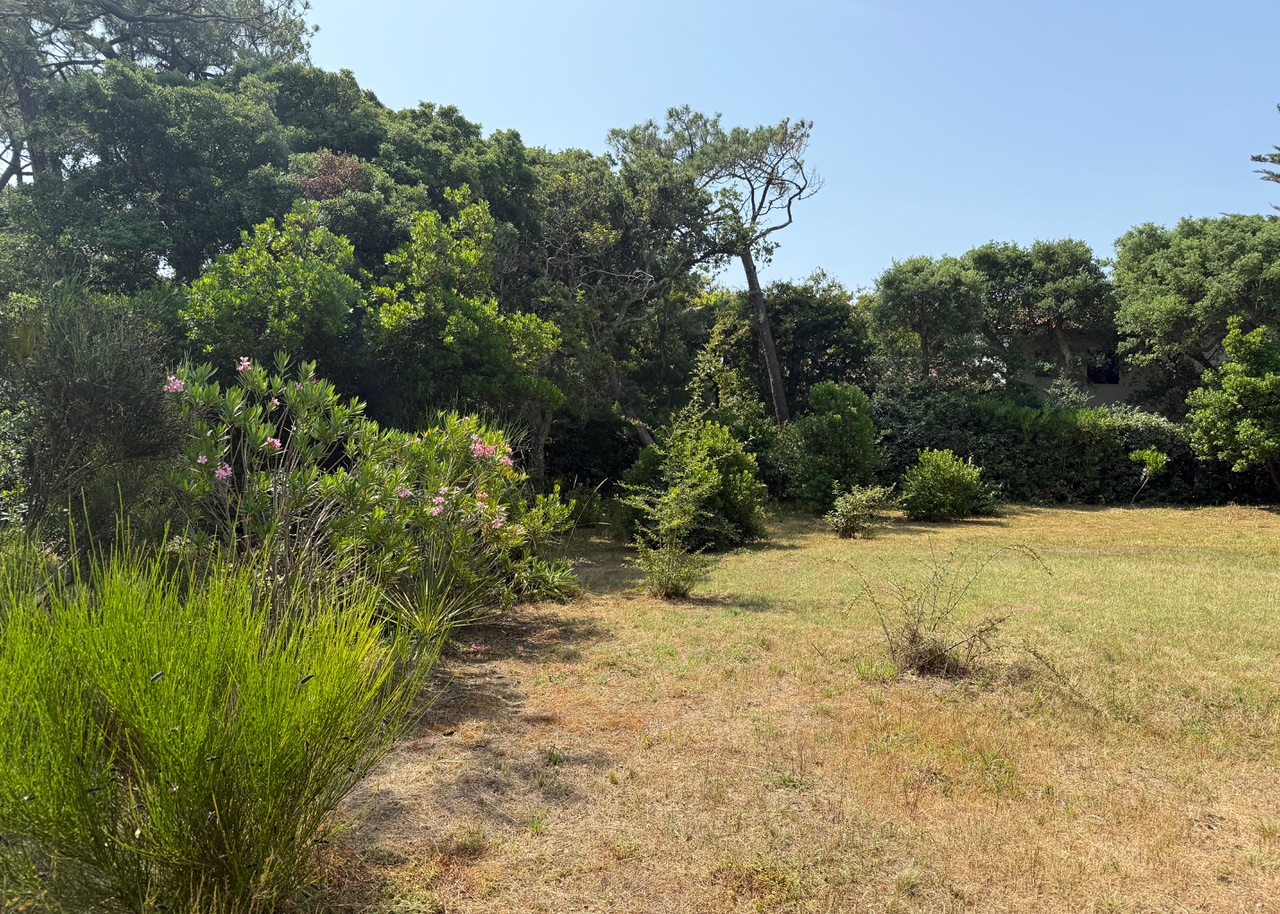 SOLD BY OUR TEAM, "Hollister Ranch" Hossegor Between the Lake &amp; the Ocean, &nbsp;The only building plot available in this highly sought-after location, 2217 sq. m. complete with all amenities (water, electricity, sewage system, phone &amp; internet). Ready to build, superb clearing for a project that doesn't require any tree-cutting, but still plenty of vegetation.