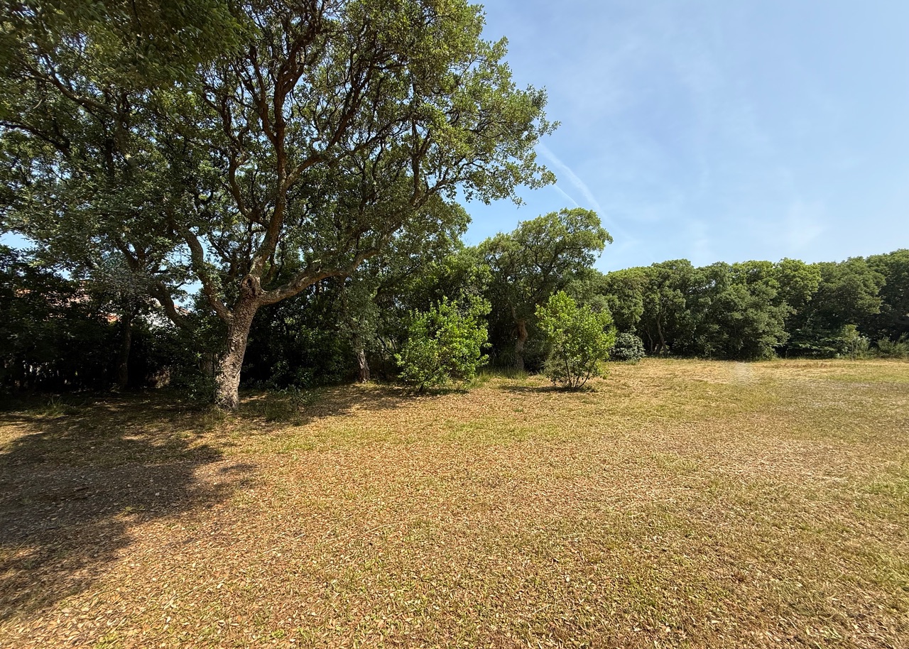 SOLD BY OUR TEAM, "Hollister Ranch" Hossegor Between the Lake &amp; the Ocean, &nbsp;The only building plot available in this highly sought-after location, 2217 sq. m. complete with all amenities (water, electricity, sewage system, phone &amp; internet). Ready to build, superb clearing for a project that doesn't require any tree-cutting, but still plenty of vegetation.
