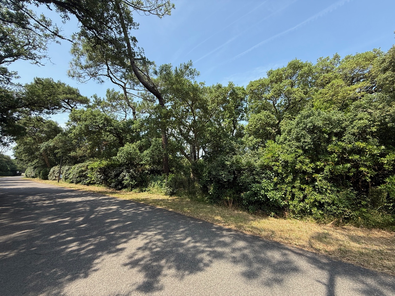 SOLD BY OUR TEAM, "Hollister Ranch" Hossegor Between the Lake &amp; the Ocean, &nbsp;The only building plot available in this highly sought-after location, 2217 sq. m. complete with all amenities (water, electricity, sewage system, phone &amp; internet). Ready to build, superb clearing for a project that doesn't require any tree-cutting, but still plenty of vegetation.