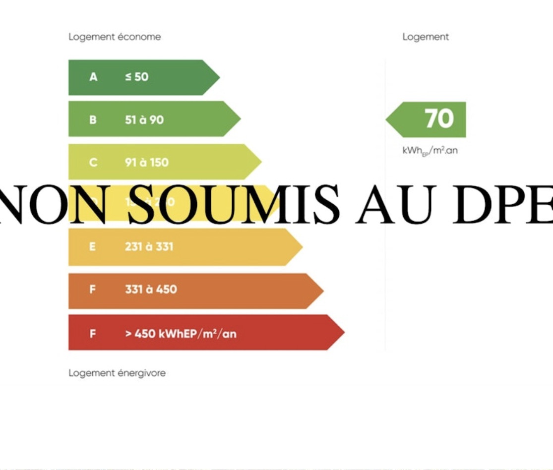 Photo de l'annonce